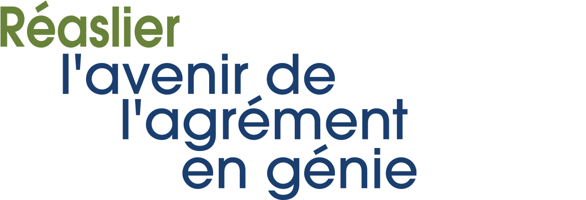 Realizing Futures of Engineering Accreditation logo