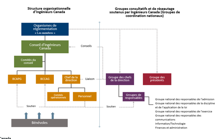 Organigramme d'Ingénieurs Canada illustrant la hiérarchie de gouvernance. À gauche, les organismes de réglementation (les membres) supervisent le conseil d'administration d'Ingénieurs Canada, qui gère le BCEC, le CQEC et le PDG. Le PDG supervise les comités opérationnels et le personnel, tous soutenus par des bénévoles. À droite, les groupes de coordination nationaux, notamment le groupe des présidents, le groupe des PDG et les groupes de responsables, fournissent des conseils et assurent la liaison avec le