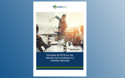 Rapport national d’enquête sur les effectifs