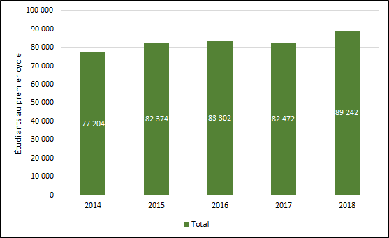 Graphique 1.1 – Nombre total d’inscriptions aux programmes de premier cycle (équivalents temps plein 2013-2017)