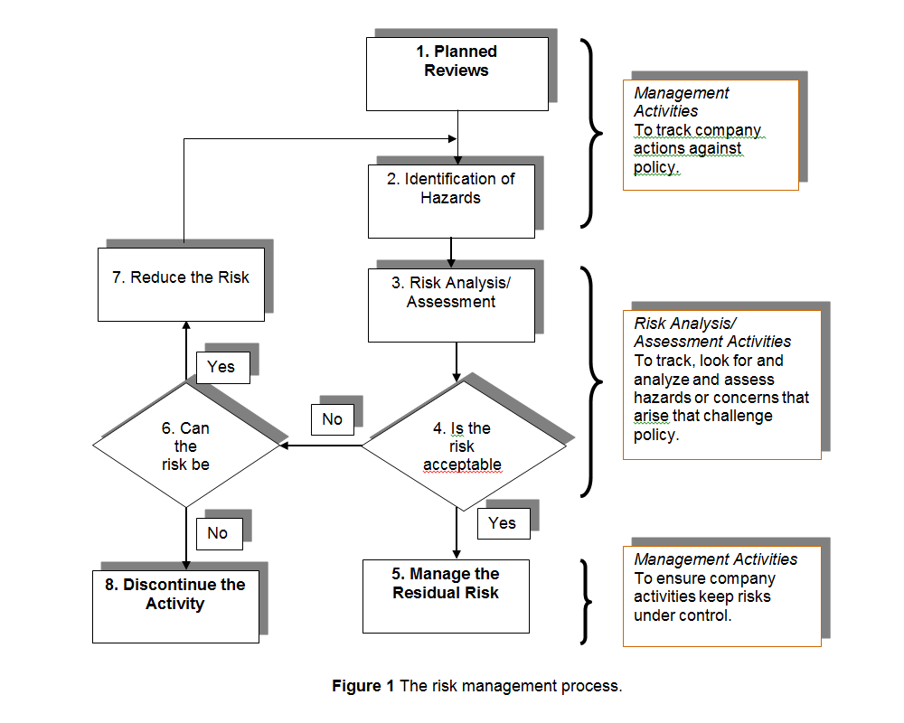 Risk Management Process Flow Chart