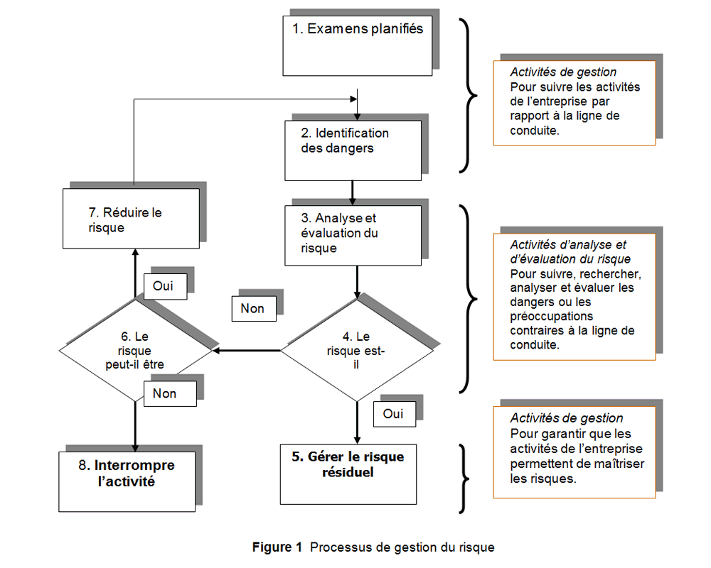 diplome universitaire gestion des risques
