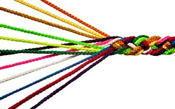 Priorité stratégique 1.2 : Renforcer la collaboration et l’harmonisation