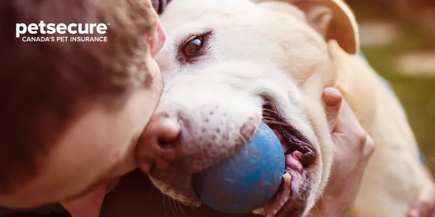 Petsecure photo of dog and owner