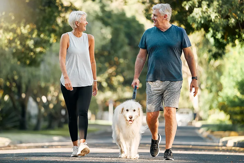 La retraite, le fitness et la marche avec un chien et un couple dans un parc de quartier pour la détente, la santé et l'entraînement sportif. Amour, bien-être et animal de compagnie avec un vieil homme et une femme âgée lors d'une promenade matinale en plein air.