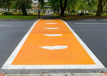 Indigenous Crosswalk