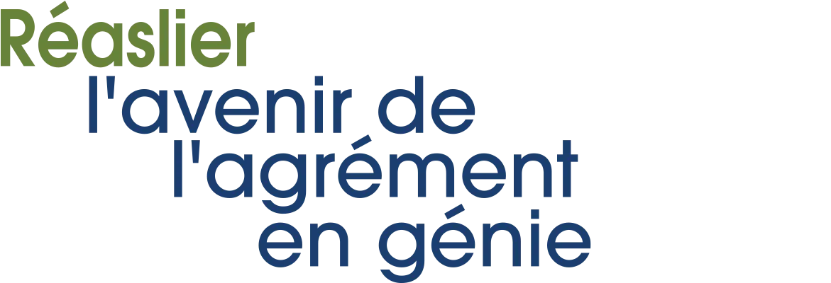 Realizing Futures of Engineering Accreditation logo